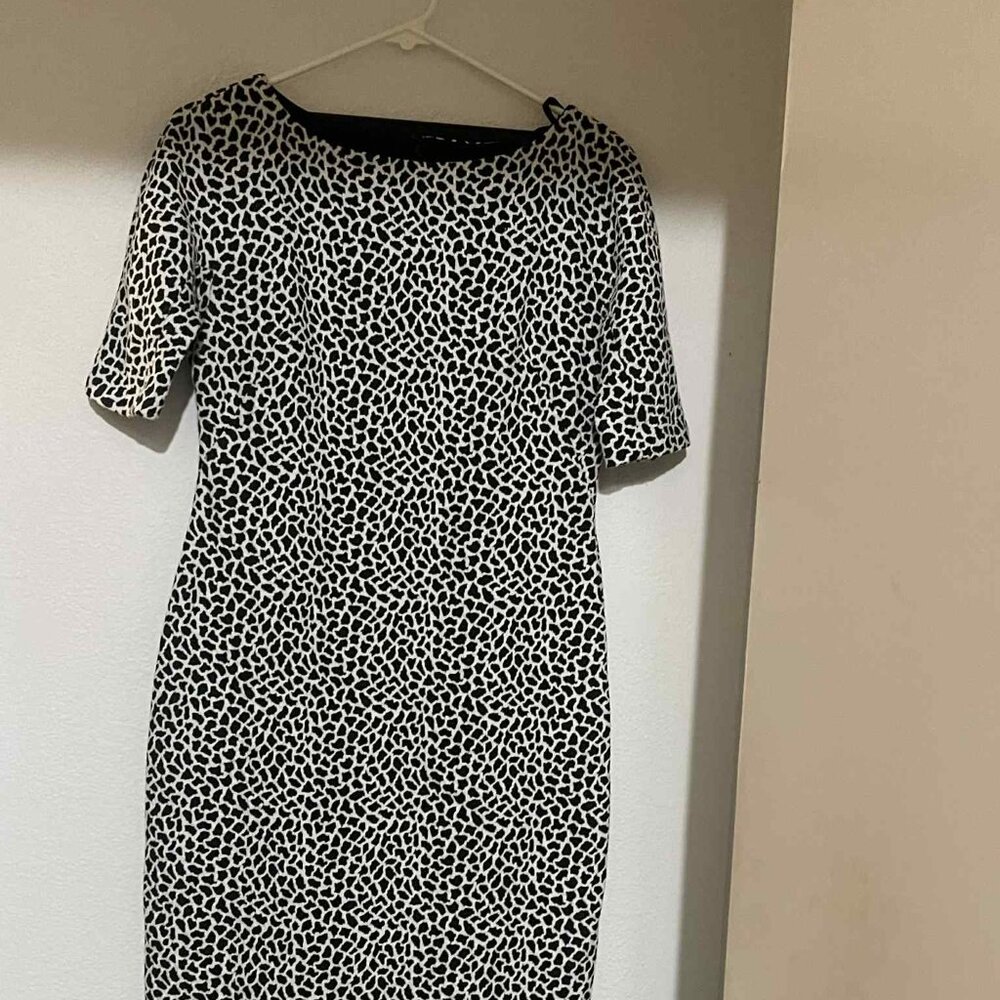 Business leopard print dress